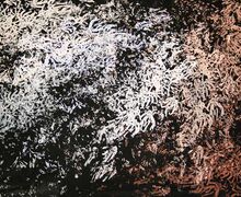 Tiefenrausch I, Serie "darfs ein bisschen meer sein", Siebdruck, 70x100cm